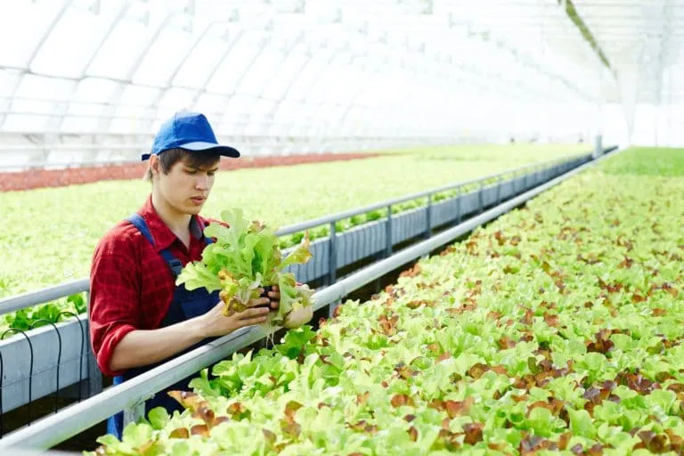 Especialista en agricultura